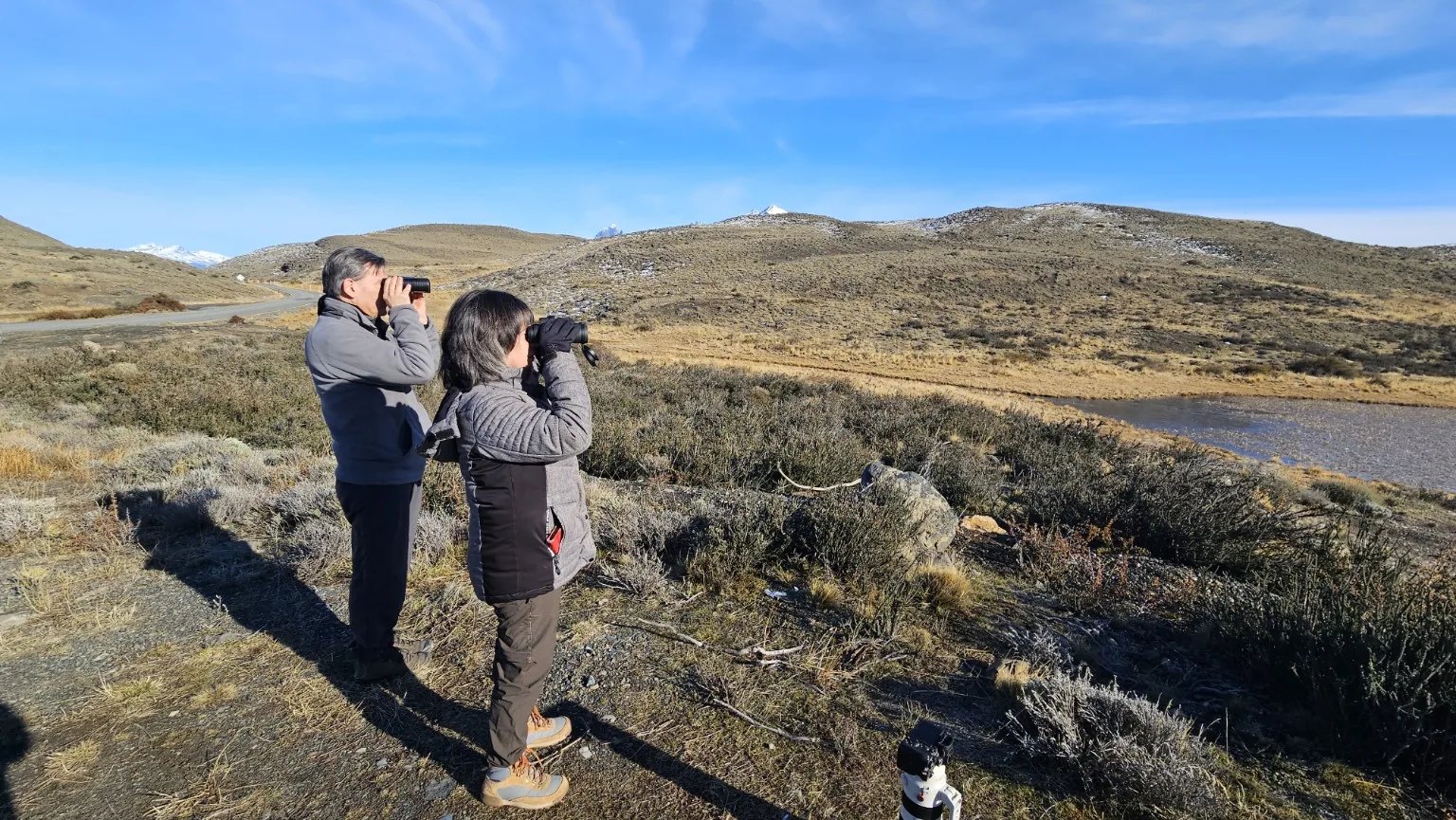 Pasajeros observando fauna durante Puma Tracking