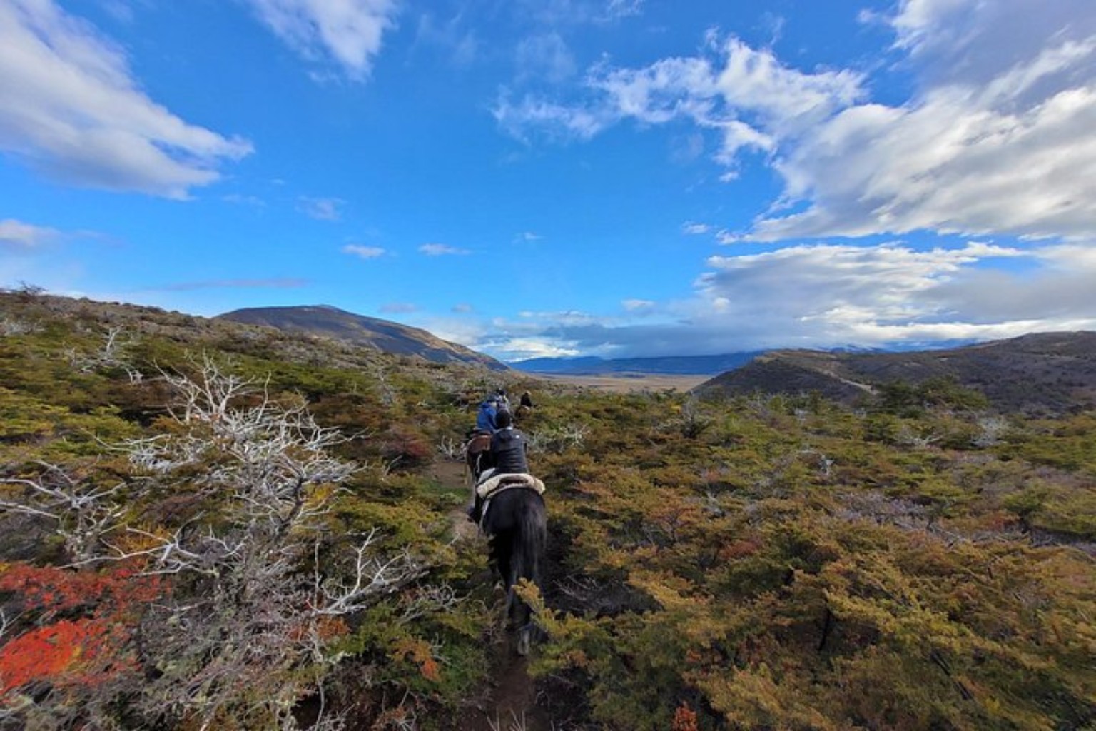 Cabalgata atravesando bosque patagónico